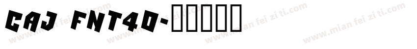 CAJ FNT40字体转换